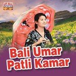 Bali Umar Patli Kamar - Kalpna Chuhan Song Download